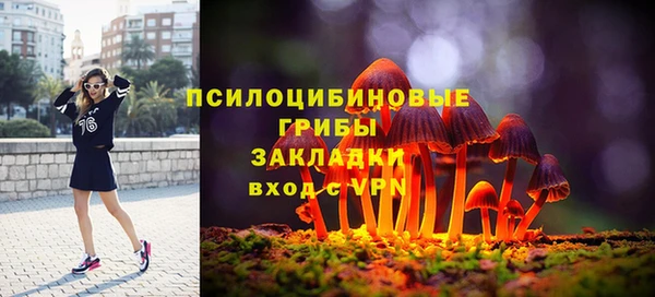 стафф Ростов